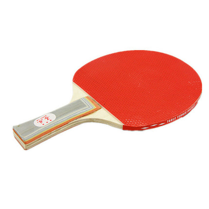 2 Players Table Tennis Set 2 Rackets Bats with 3 Ping Pong Balls Home Sports.