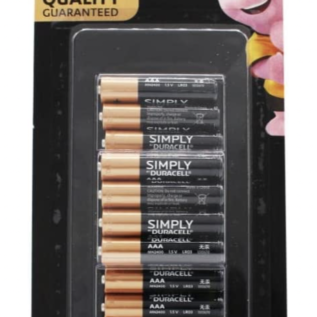 Electronics > Battery Chargers & Power > Batteries.