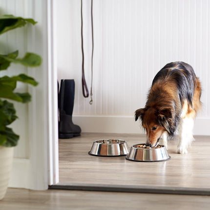 Non Slip Stainless Steel Dog Bowl Pet Cat Water Food Feeder Portable Puppy Dish - Large (500ml).