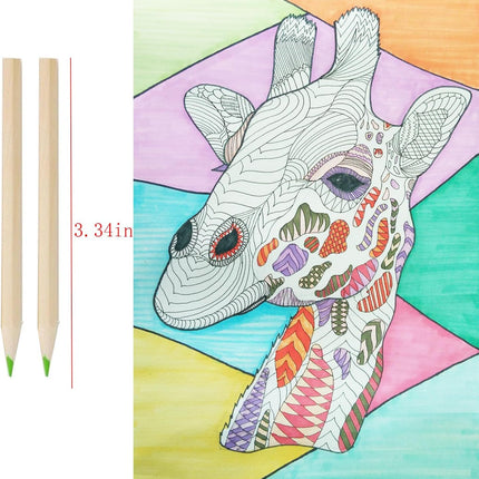 18pcs Mini Colour Pencils Junior Artist Coloured Pencils Kids Drawing Pencil.
