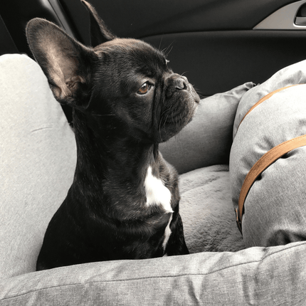 Premium Dog Booster Seat for Small Pets.