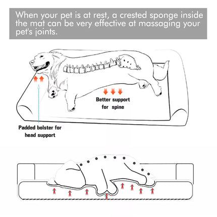 Pet Care Cartoz.