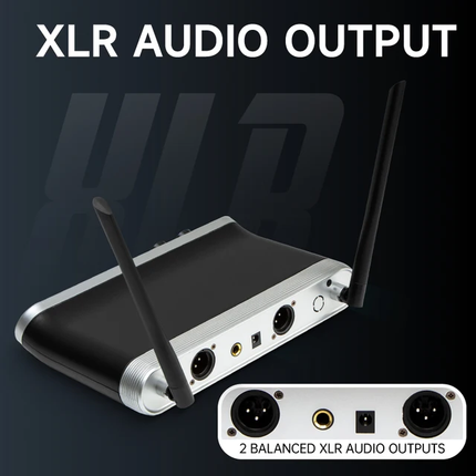 Hridz Wireless UHF Microphone Kit Dual Handheld Mics with 100m Range Receiver for Karaoke Meetings Parties.