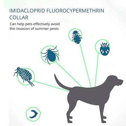 PawfectFriend Flea Collar for Dogs 8 Months Natural Flea Tick Collar for Dog Puppy.