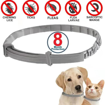 PawfectFriend Flea Collar for Dogs 8 Months Natural Flea Tick Collar for Dog Puppy.