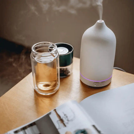 Double Wall Glass Tea Infuser Bottle.