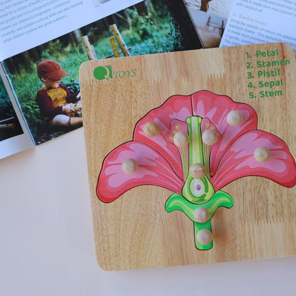 Montessori Parts of a Flower Puzzle.
