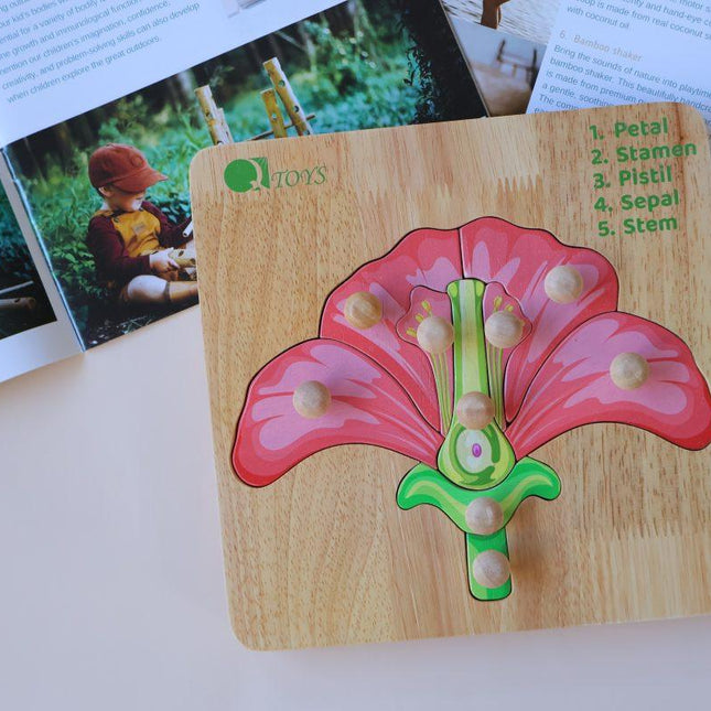 Montessori Parts of a Flower Puzzle.