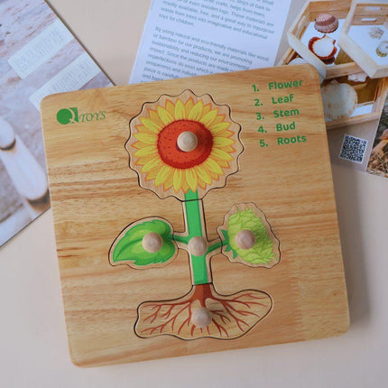Montessori Parts of a Plant Puzzle.