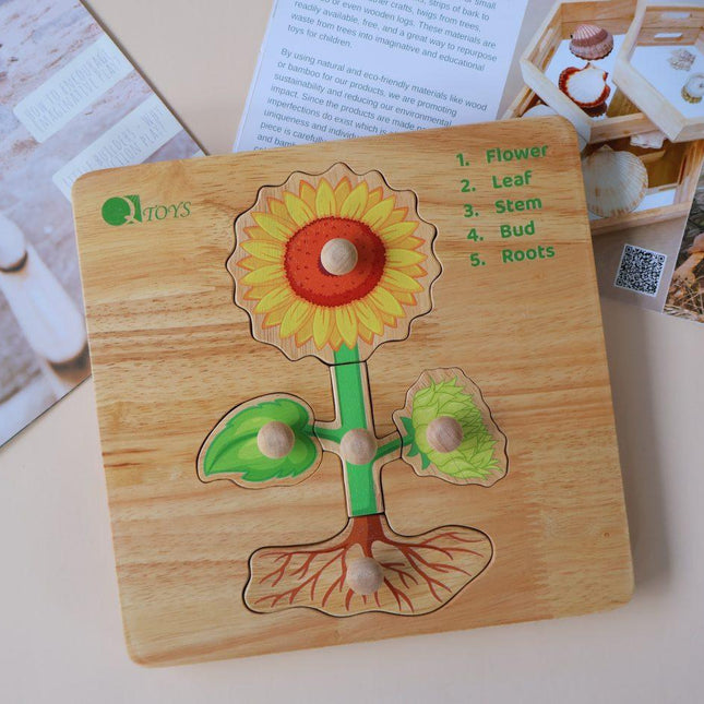 Montessori Parts of a Plant Puzzle.
