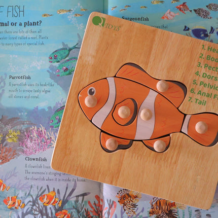Montessori Fish Knob Puzzle.