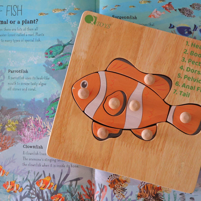 Baby & Kids > Baby & Kid's Toys > Activity Toys.