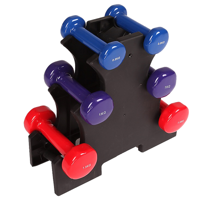 6-Piece Dumbbell Set with Storage Rack for Home Gym Training.