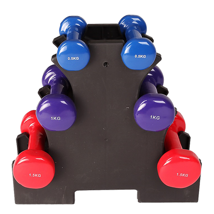 6-Piece Dumbbell Set with Storage Rack for Home Gym Training.
