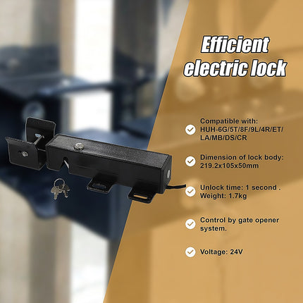 Electric Lock for Swing Gate.