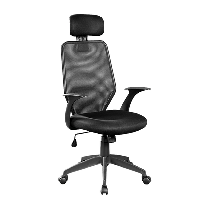 Ergonomic Mesh Office Chair.