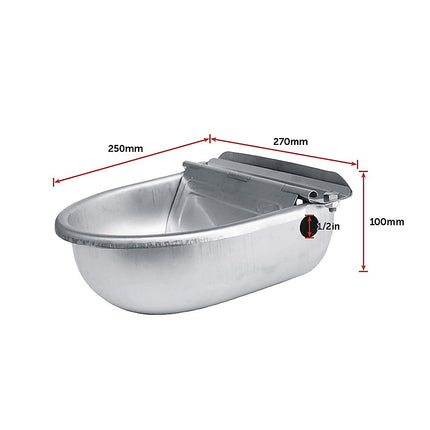 Automatic Water Trough Stainless Steel 304 Bowl.