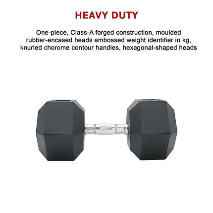 10KG Commercial Rubber Hex Dumbbell Gym Weight.