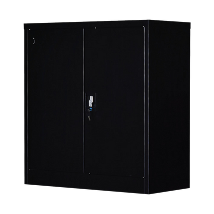 Two-Door Shelf Office Gym Filing Storage Locker Cabinet Safe.
