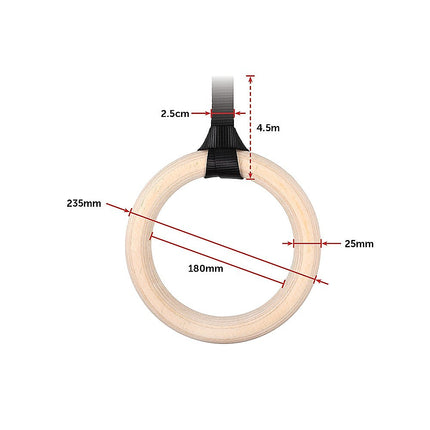 Birch Wood Gymnastic Rings with Adjustable Straps – Strength & Calisthenics Training.