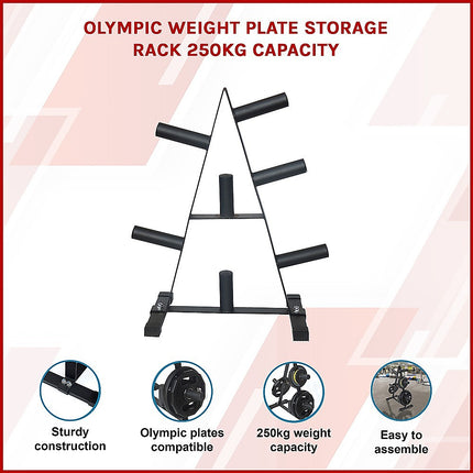 Olympic Weight Plate Storage Rack 250kg Capacity.
