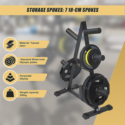 Olympic Weight Plate Storage Rack 250kg Capacity.