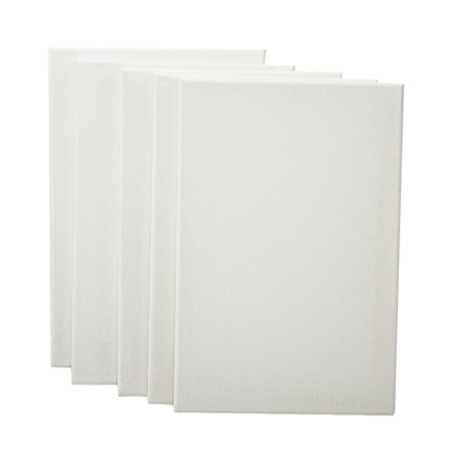 5 pack of 20x30cm Artist Blank Stretched Canvas Canvases Art Large White Range Oil Acrylic Wood.