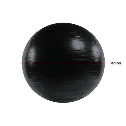 75cm Static Strength Exercise Stability Ball with Pump.