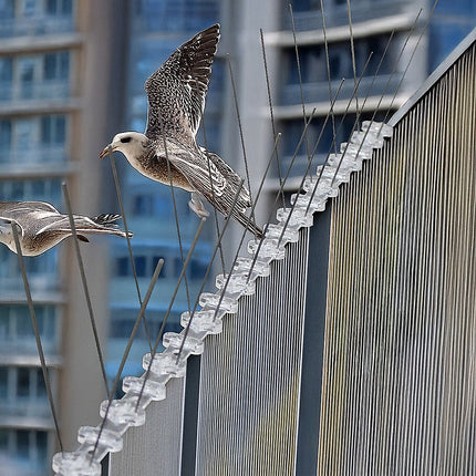 20x 50cm Bird Spike S304 wire Spikes Eaves Pigeon Gull Starling 10M.