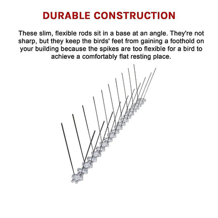 20x 50cm Bird Spike S304 wire Spikes Eaves Pigeon Gull Starling 10M.
