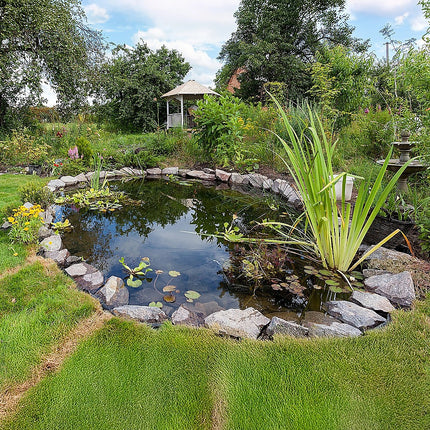 Home & Garden Cartoz.