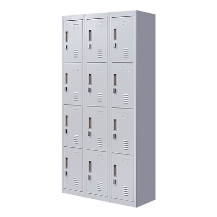 12-Door Locker for Office Gym Shed School Home Storage - Standard Lock with Keys.