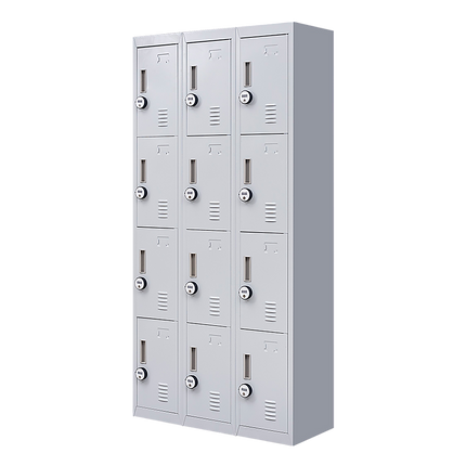 12-Door Locker for Office Gym Shed School Home Storage - Standard Lock with Keys.