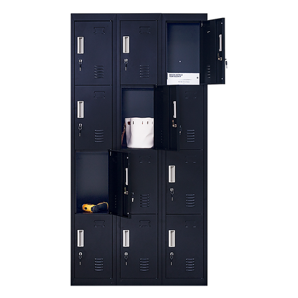 12-Door Locker for Office Gym Shed School Home Storage - Standard Lock with Keys.