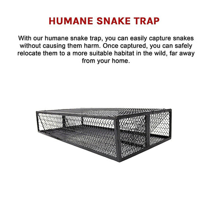 Humane Snake Trap Remove Small to Medium Snakes 2 Doors.