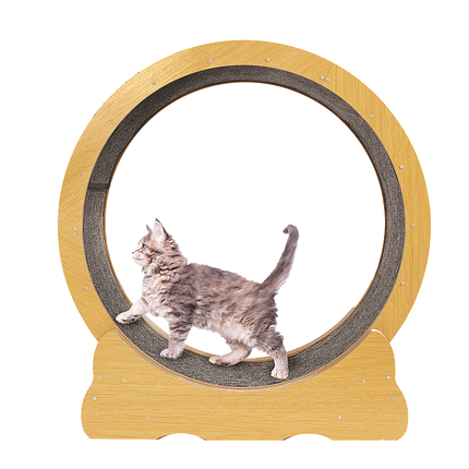 Cat Running Wheel w/ Carpet Runway Cat Exercise Wheel for Fitness Cat Treadmill.