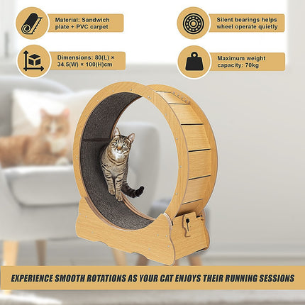 Cat Running Wheel w/ Carpet Runway Cat Exercise Wheel for Fitness Cat Treadmill.