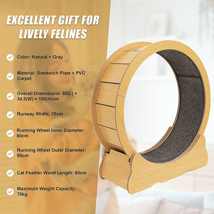 Cat Running Wheel w/ Carpet Runway Cat Exercise Wheel for Fitness Cat Treadmill.