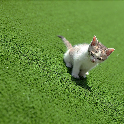 200cm x 250cm Lawn Turf Artificial Grass Mat Carpet Fake Synthetic Garden Landscape.