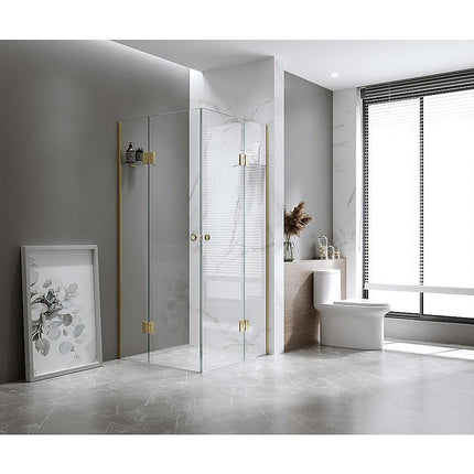 100x110cm Double Door Corner Shower with Gunmetal Channels and SS Hinges.
