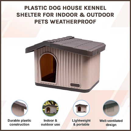 Pet Care Cartoz.