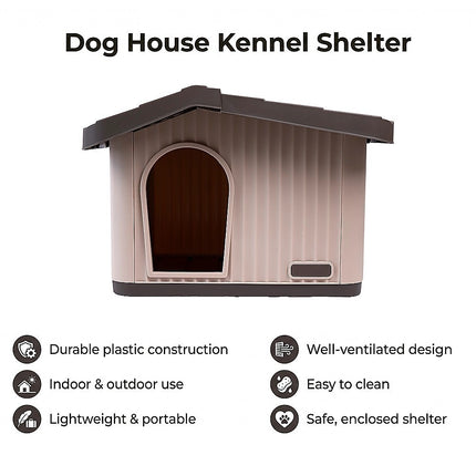 Pet Care Cartoz.