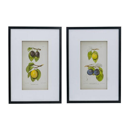 Set 2 Botanical Wall Decor 70cm.