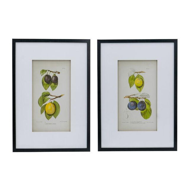 Set 2 Botanical Wall Decor 70cm.