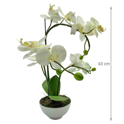 Artificial Orchid w Ceramic Base 44cm.