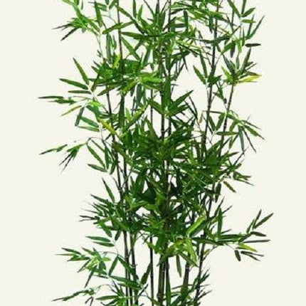 Set 2 Artificial Bamboo Plant in Terracotta Pot 152cm.