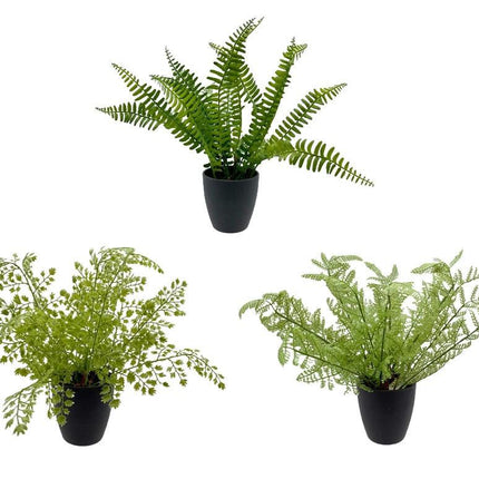 Set 3 Artificial Greenery in Pot Assort 21cm.
