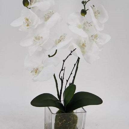 Artificial Orchid in Glass Pot 10x45cm.