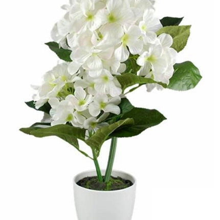 Artificial White Hydranger in White Plastic Pot 10x46cm.