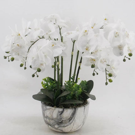 Large White Orchid In Marble Look Pot 64cm.
